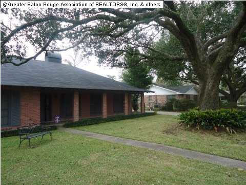 front view, large live oak