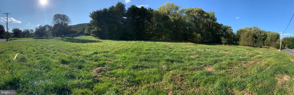 0 Miller Ave, 11, Sandy Hook, MD 21758 - photo 1