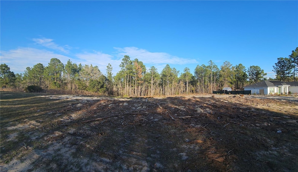 0 SW 135th Ave, Ocala, FL 34481 - photo 1
