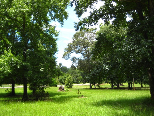 6005 Moree Ln, Albany, GA 31705 - photo 1