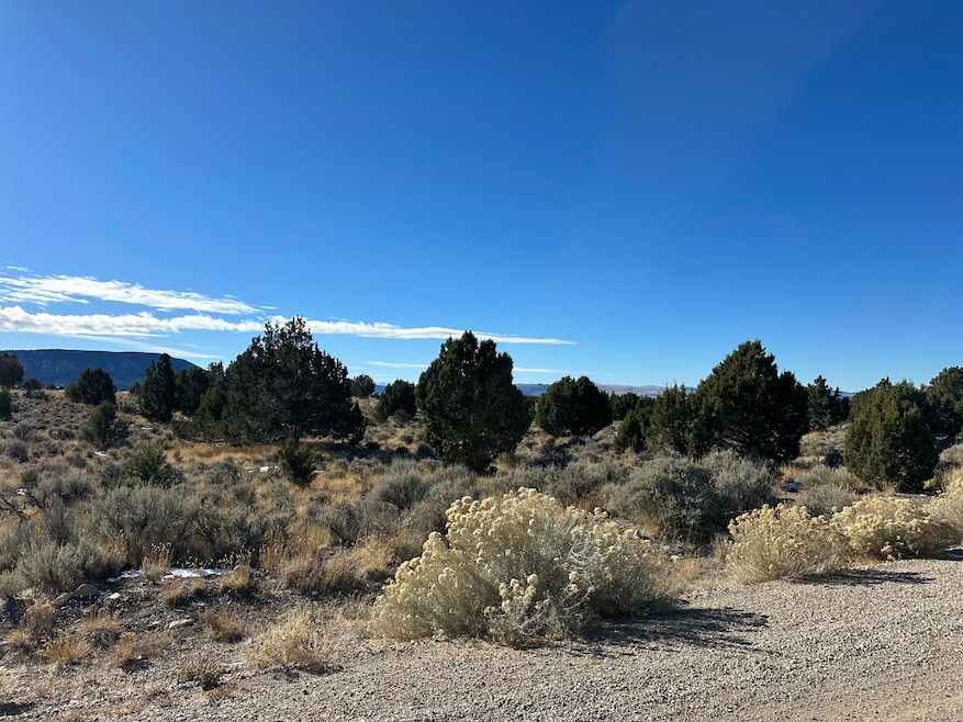 Parcel 01-0248-0009, Beaver, UT 84713 - photo 1