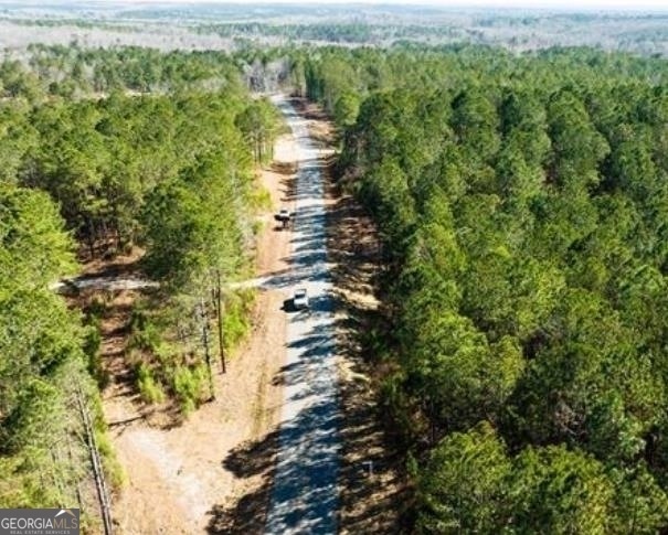 TRACT #8 Crews Rd, Carrollton, GA 30116 - photo 1