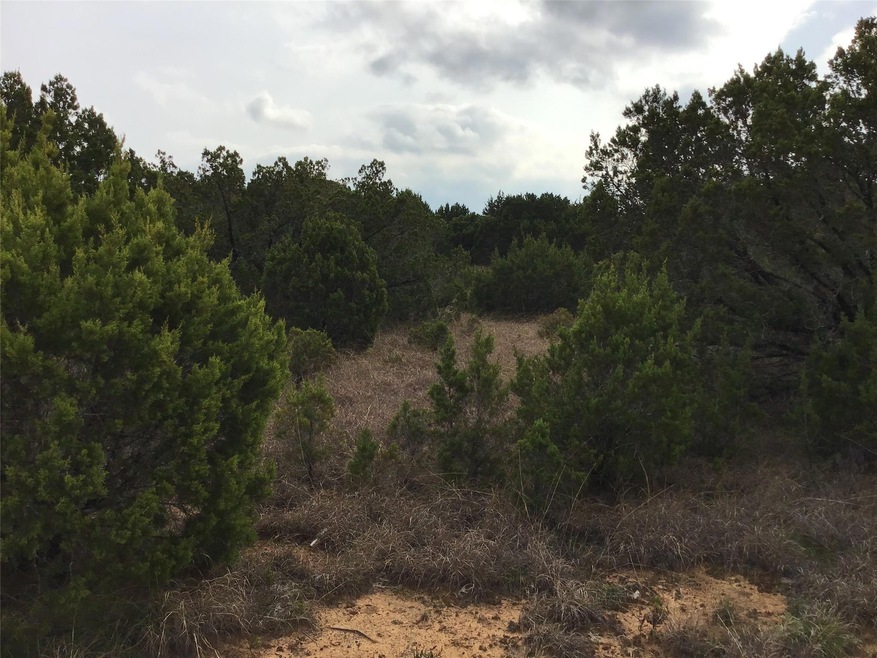 33057 Greenhill Dr, Whitney, TX 76692 - photo 1