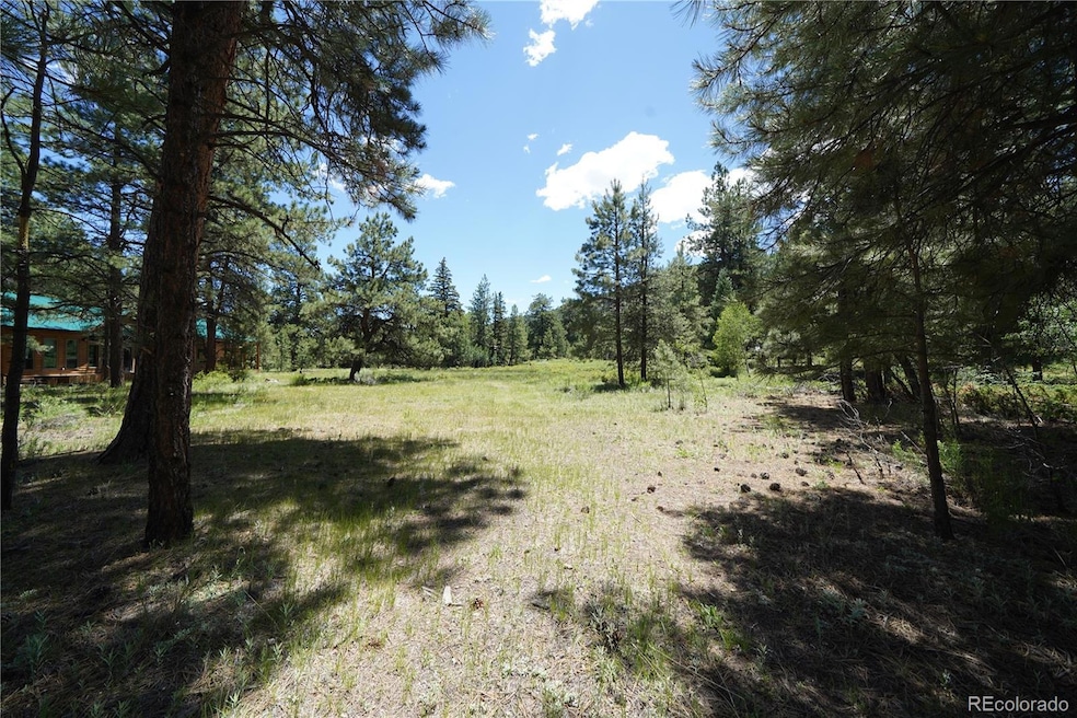 136 Elk Meadow Run, Antonito, CO 81120 - photo 1