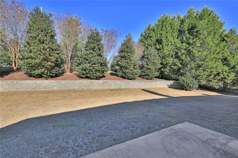 919 Cruce Lake Dr, Hoschton, GA 30548 - photo 1