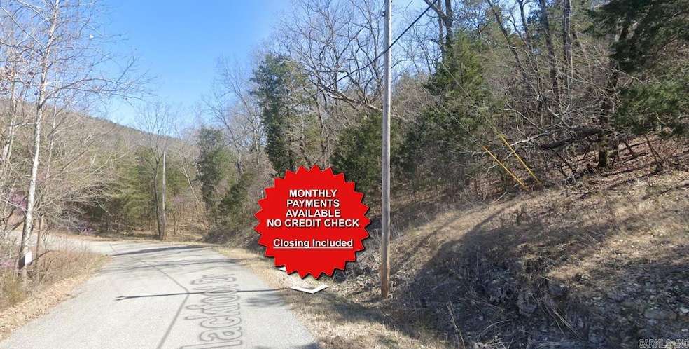 Lot 4 Blackfoot Dr, Holiday Island, AR 72631 - photo 1