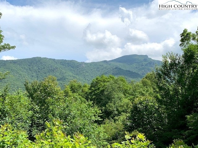 Lot 2 Caseys Gap Rd, Banner Elk, NC 28604 - photo 1
