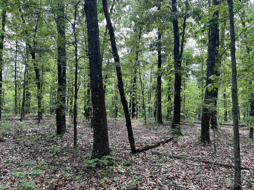 0 8 72 Acres On Meadow Creek Dr, Harrison, AR 72601 - photo 1