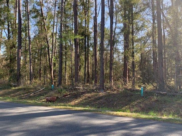 Lot 43 Klickitat Dr unit 3, Crawfordville, FL 32327 - photo 1