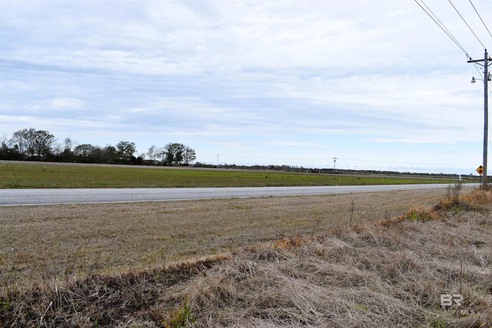 0 Daugherty Rd unit Lot 4, Foley, AL 36535 - photo 1