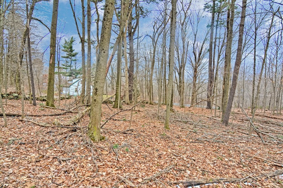 0 Warren Rd L:1 unit 72602864, Brimfield, MA 01010 - photo 1