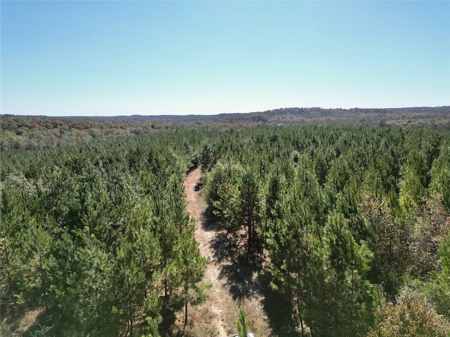 0 Highway 82 N, Eufaula, AL 36027 - photo 1