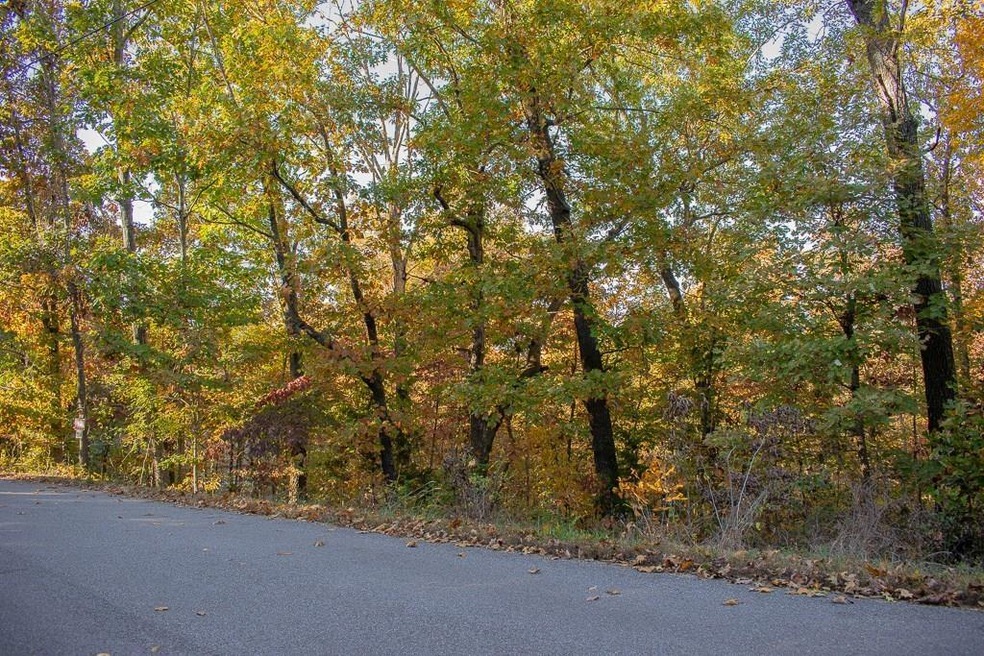 0 Leiston Ln, Bella Vista, AR 72714 - photo 1