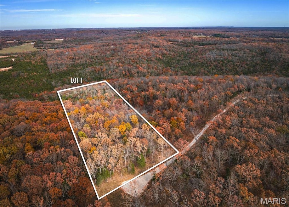 Aerial overview of property's location with property parcel outlined and a forest