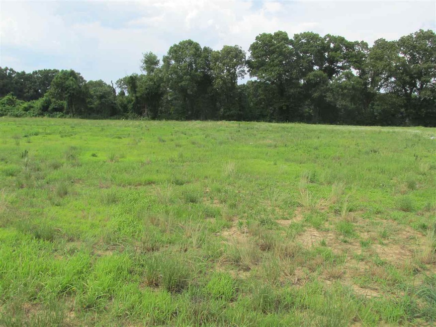 Lot 411 Hale Farm Rd, Humboldt, TN 38343 - photo 1