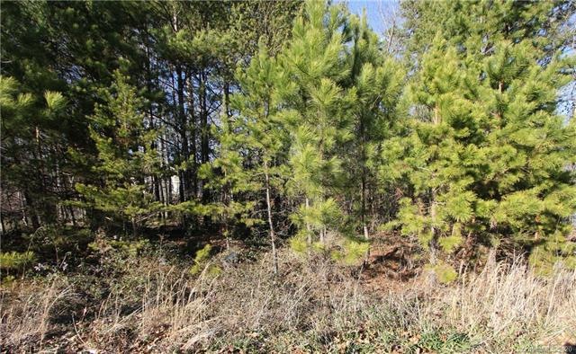 Lot 10 Riverstone Dr unit 10, Lincolnton, NC 28092 - photo 1