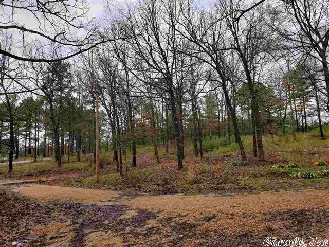6902 Hwy 351, Jonesboro, AR 72405 - photo 1