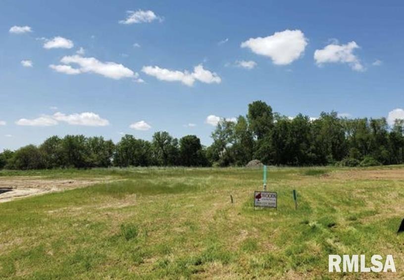 424 Elizabeth Way, Bettendorf, IA 52722 - photo 1