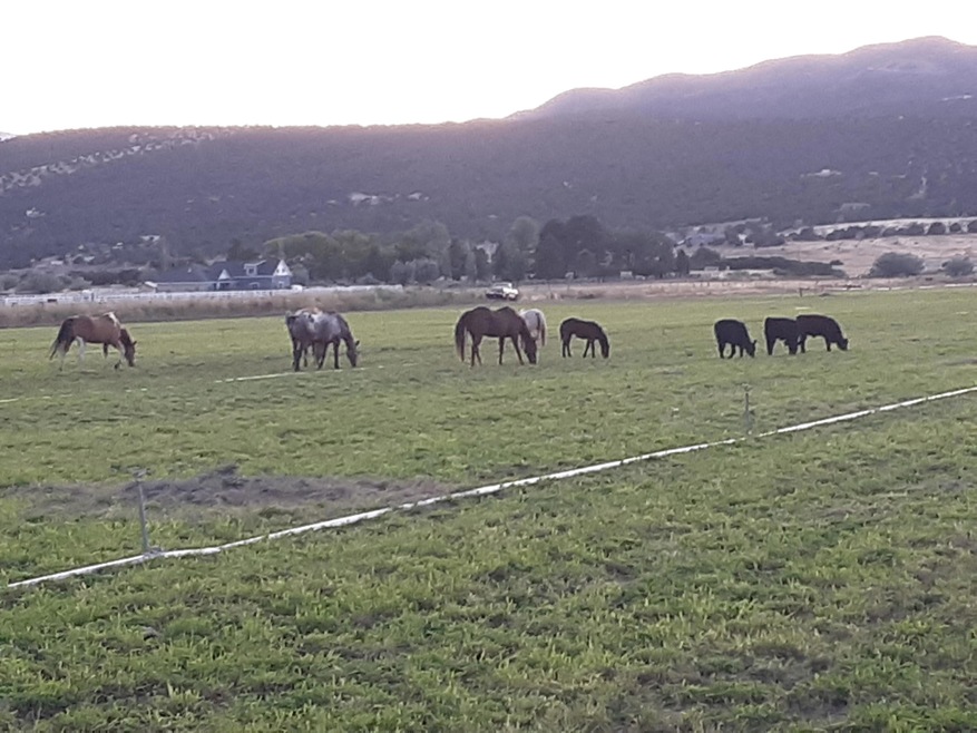 100 N 400 W, Cedar City, UT 84720 - photo 1