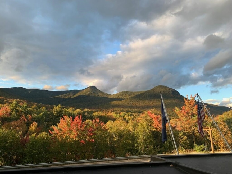90 Loon Mountain Rd unit 1021D, Lincoln, NH 03251 - photo 1