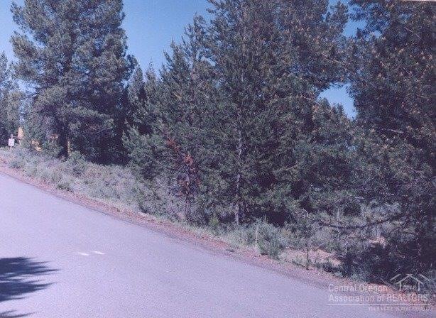 Primary Photo