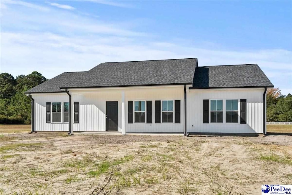 3485 Creech Rd, Marion, SC 29571 - photo 1