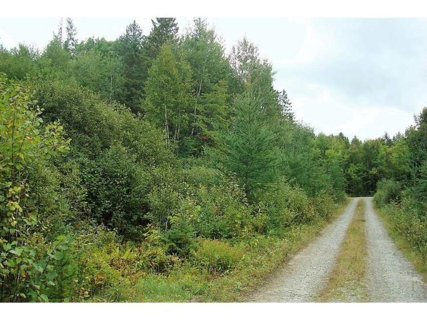 24B Savage Hill Rd, Jefferson, NH 03583 - photo 1