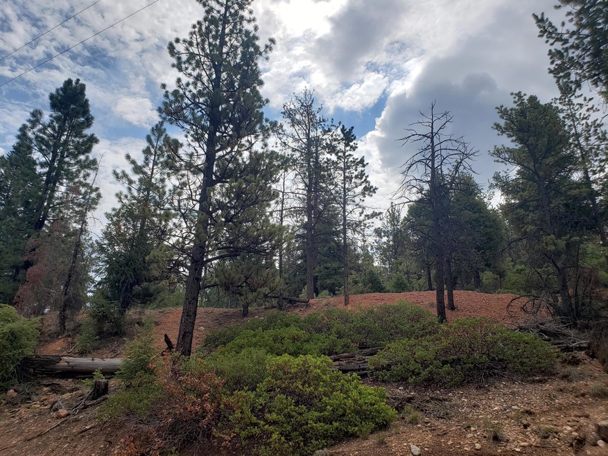 345 W Pinyon Dr, Hatch, UT 84735 - photo 1