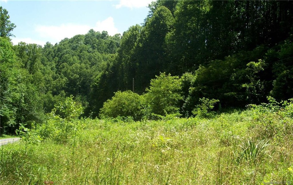 0 Patsy Creek Rd unit 3425310, Burnsville, NC 28714 - photo 1