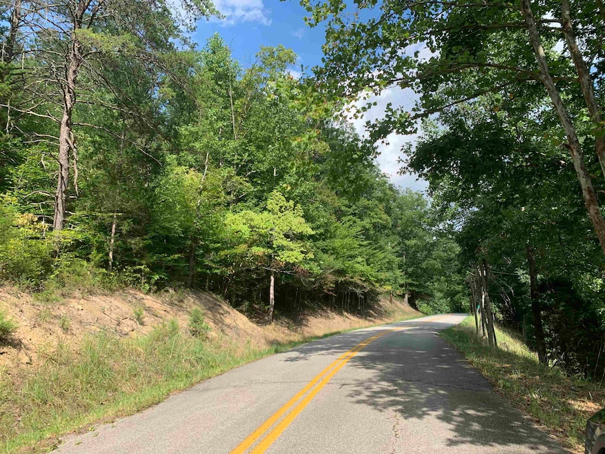 0 Cooksey Fork, Blaine, KY 41124 - photo 1