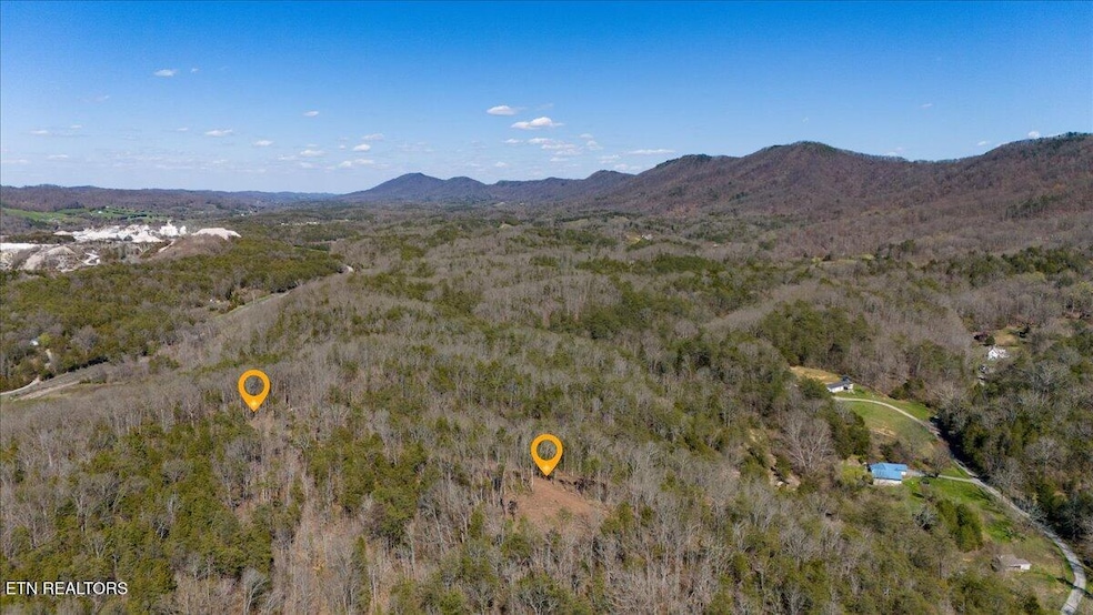 0 Wolfenbarger Tract 1 unit 1294792, Luttrell, TN 37779 - photo 1