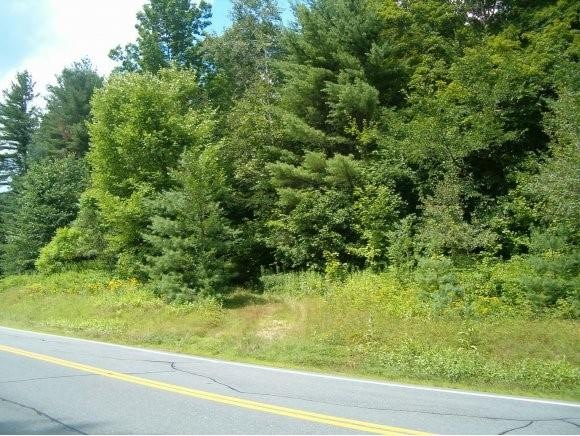 0 Rt 131 unit 4013332, Cavendish, VT 05142 - photo 1