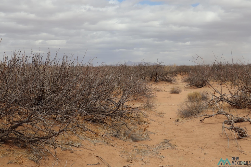 0 Ojo Rd SW unit 20251306, Deming, NM 88030 - photo 1
