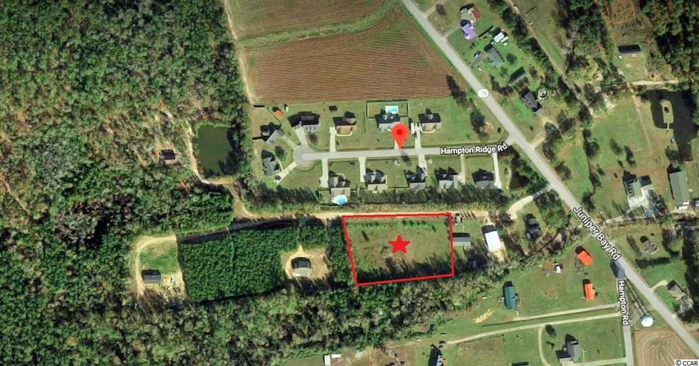 TBD W Highway 78, Conway, SC 29527 - photo 1