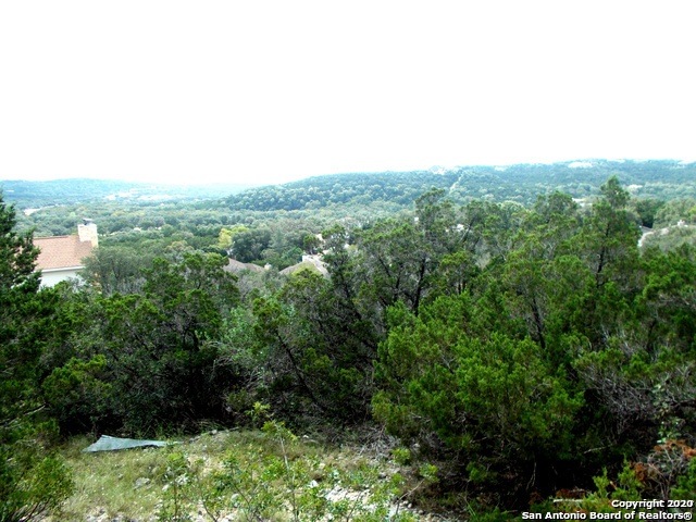 16821 Fox Ridge, Helotes, TX 78023 - photo 1