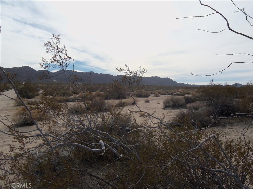0 Lee Dr unit JT15265102, Joshua Tree, CA 92252 - photo 1