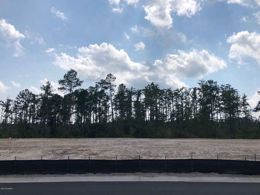 4342 Cushendale Ct, Leland, NC 28451 - photo 1