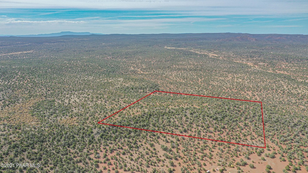 Lot 199 Juniperwood Ranch, Ash Fork, AZ 86320 - photo 1