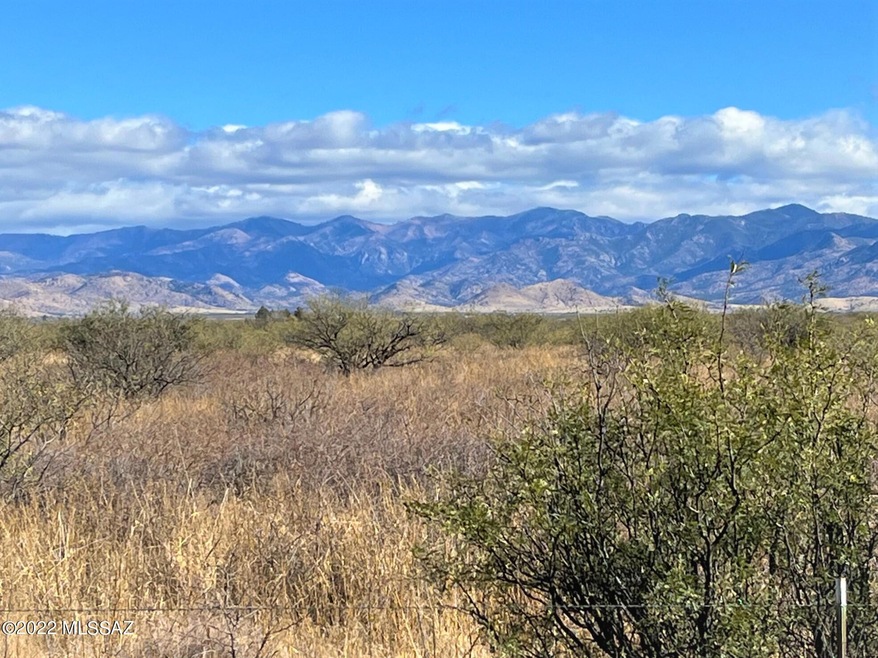 View east of the Chiricahua's