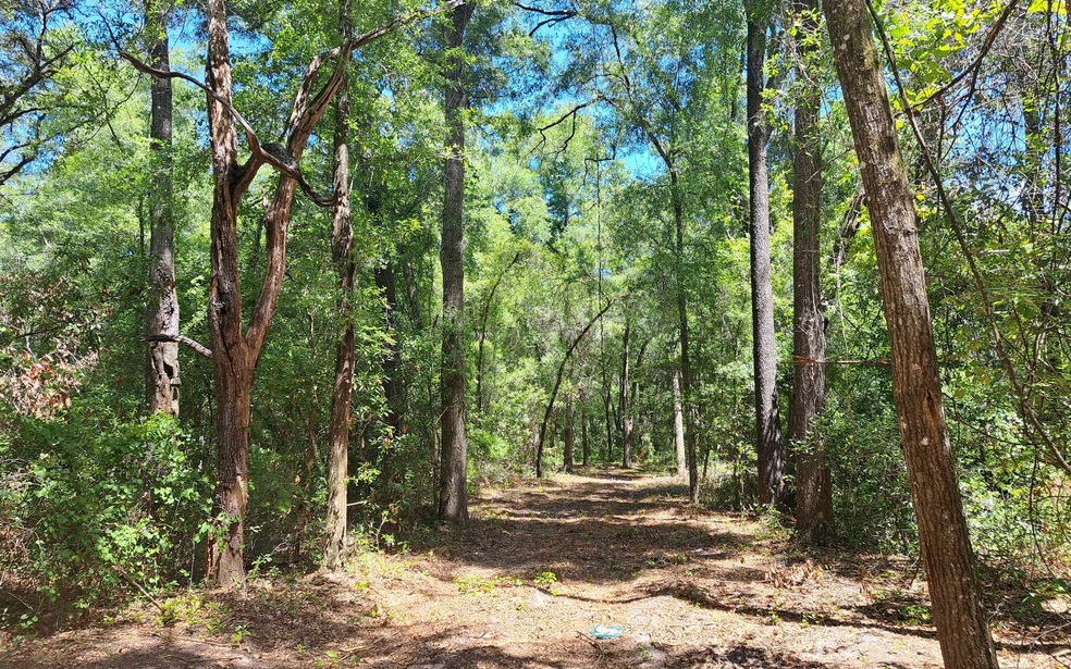 4359 288th St, Branford, FL 32008 - photo 1