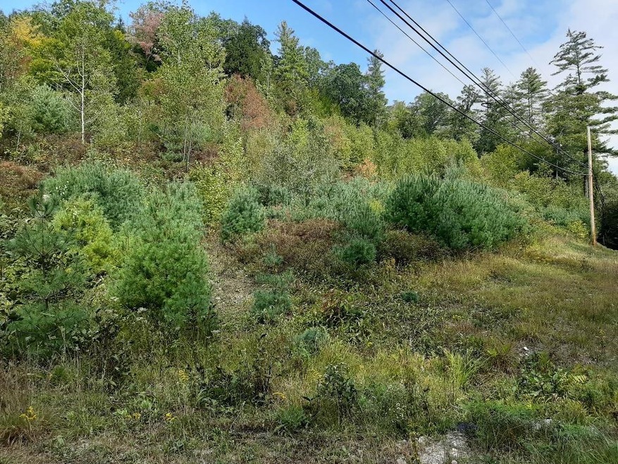 0 Richmond Rd unit 4829611, Winchester, NH 03470 - photo 1