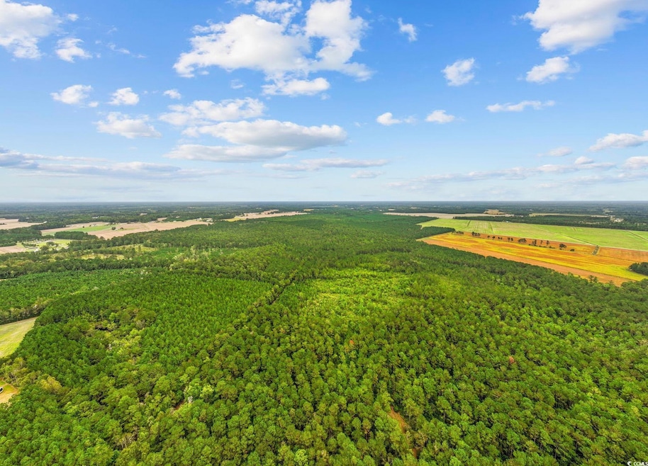 TBD Riverbend Rd, Loris, SC 29569 - photo 1