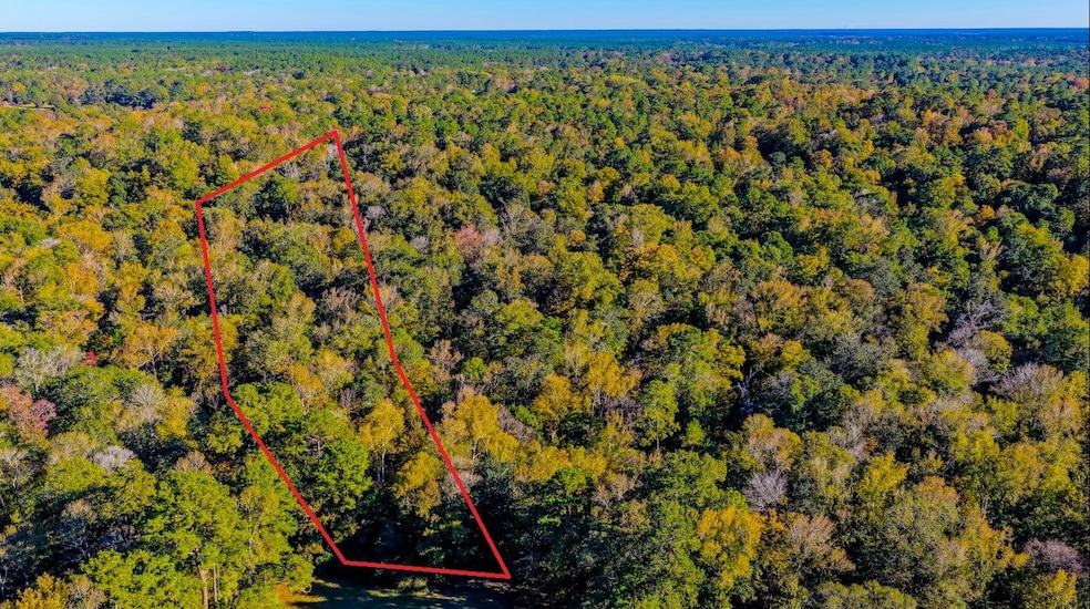 TBD2 Rolling Ridge Rd, Goodrich, TX 77335 - photo 1