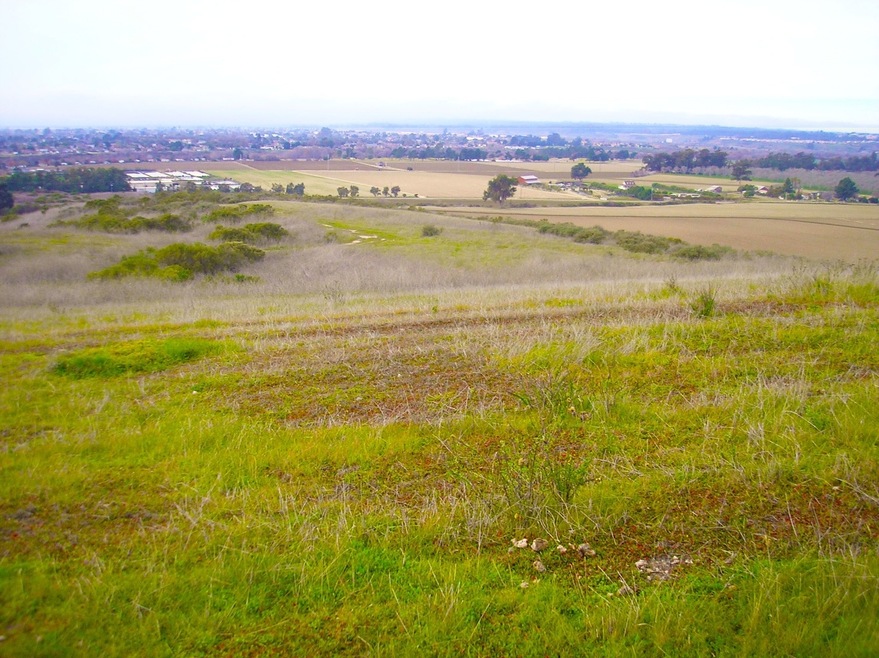 Sweeney View West2EDIT
