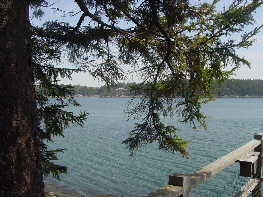 View upriver from the viewing platform.