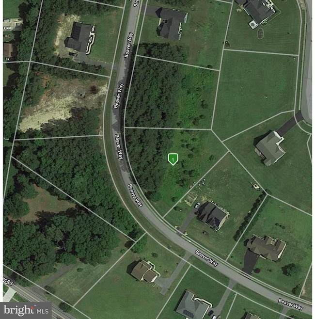 24572 Beaver Way, Georgetown, DE 19947 - photo 1