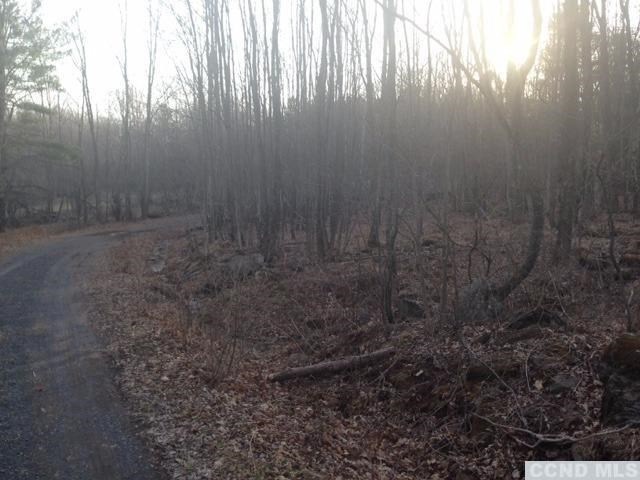 0 Slater Rd unit 108329, Maplecrest, NY 12454 - photo 1