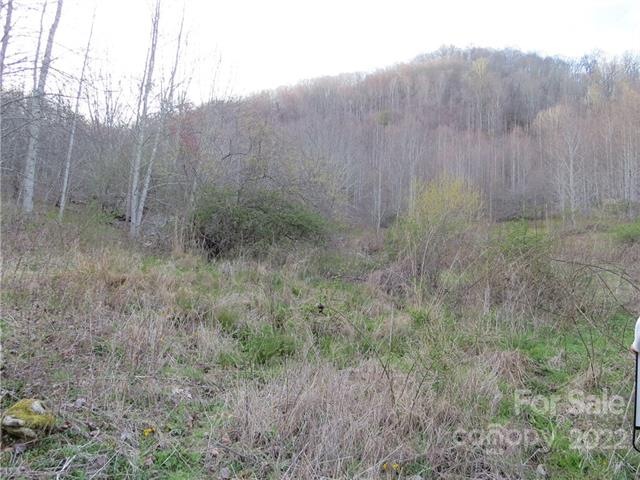 000 Summer Trees Ln, Burnsville, NC 28714 - photo 1