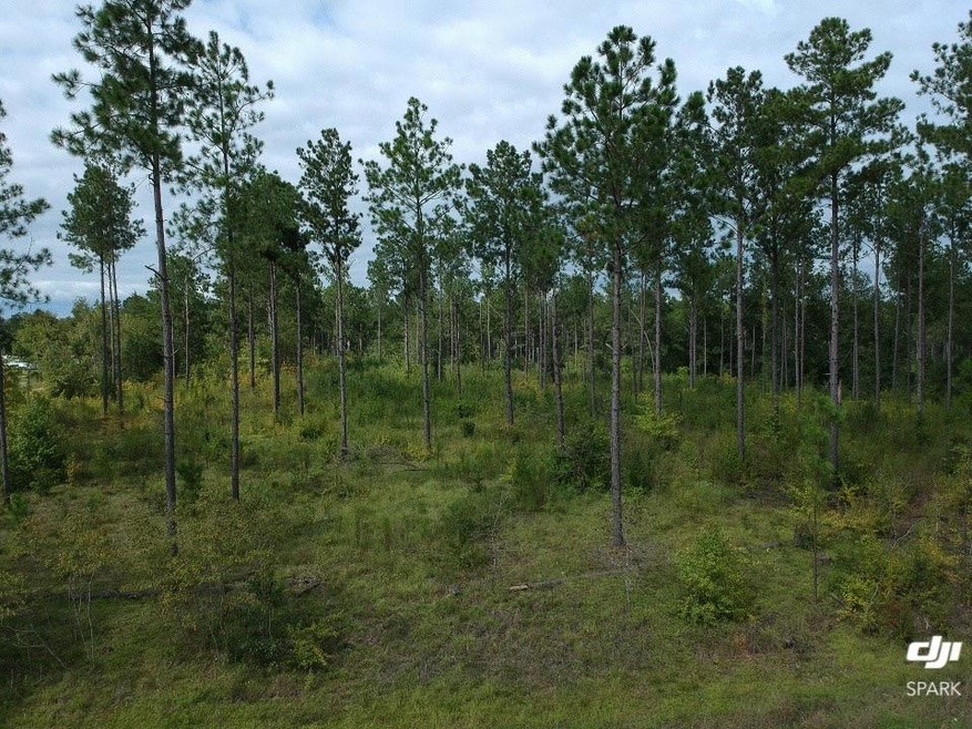 00 Spring Flats Rd, Sylvester, GA 31791 - photo 1