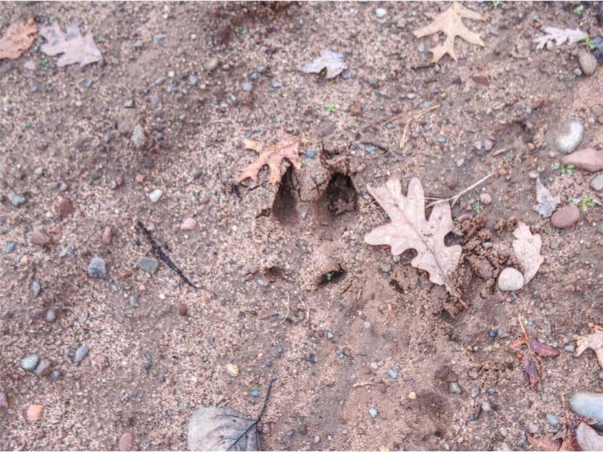 XXXX Aspen Hill Court Ct, Danbury, WI 54830 - photo 1